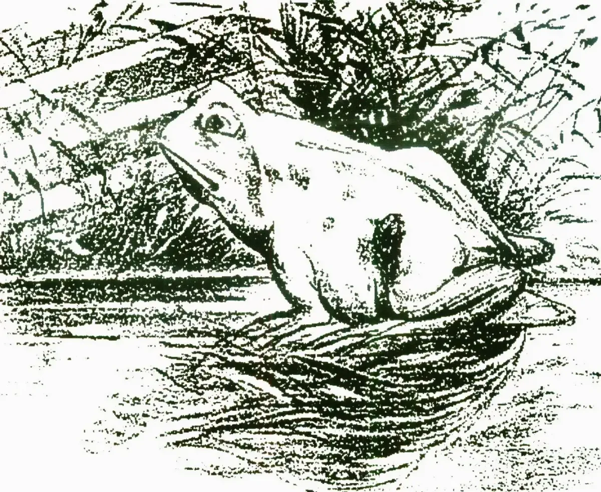 Девушка старуха иллюзия