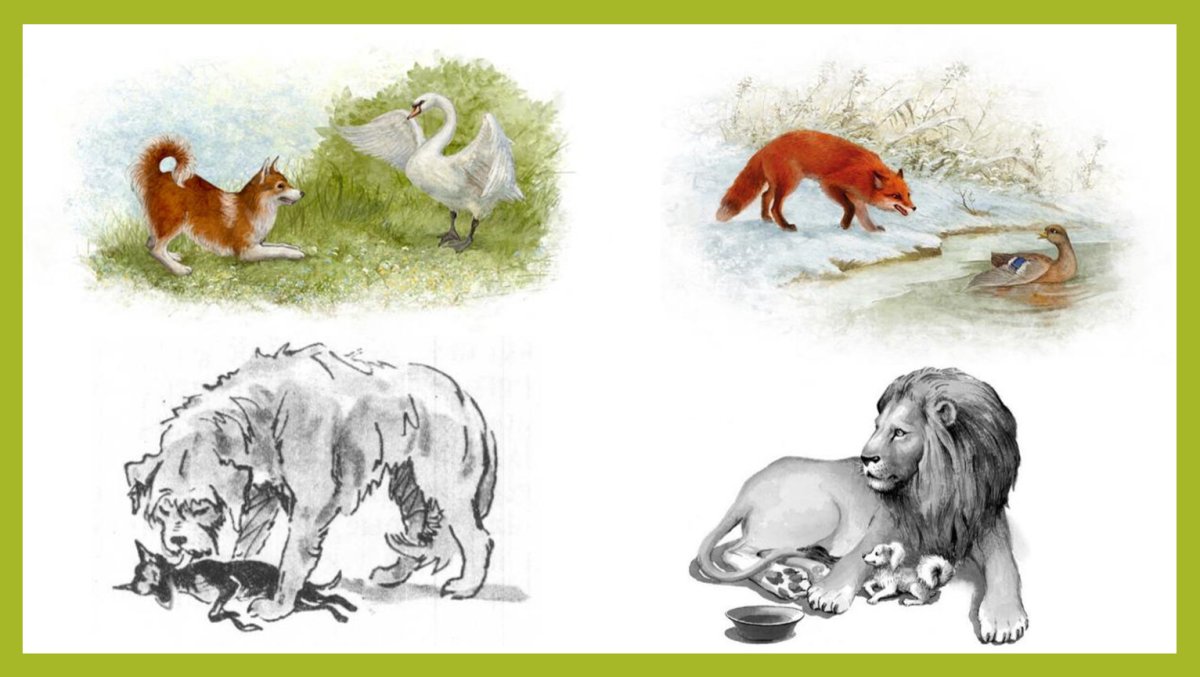 Барбос и Жулька