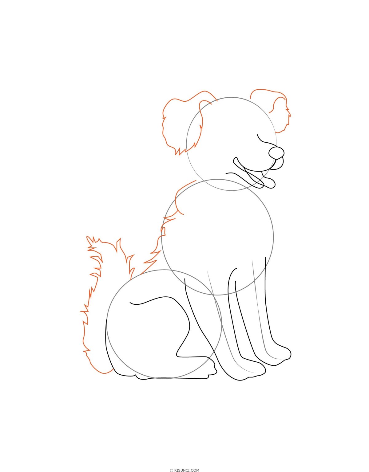 Барбос рисунок