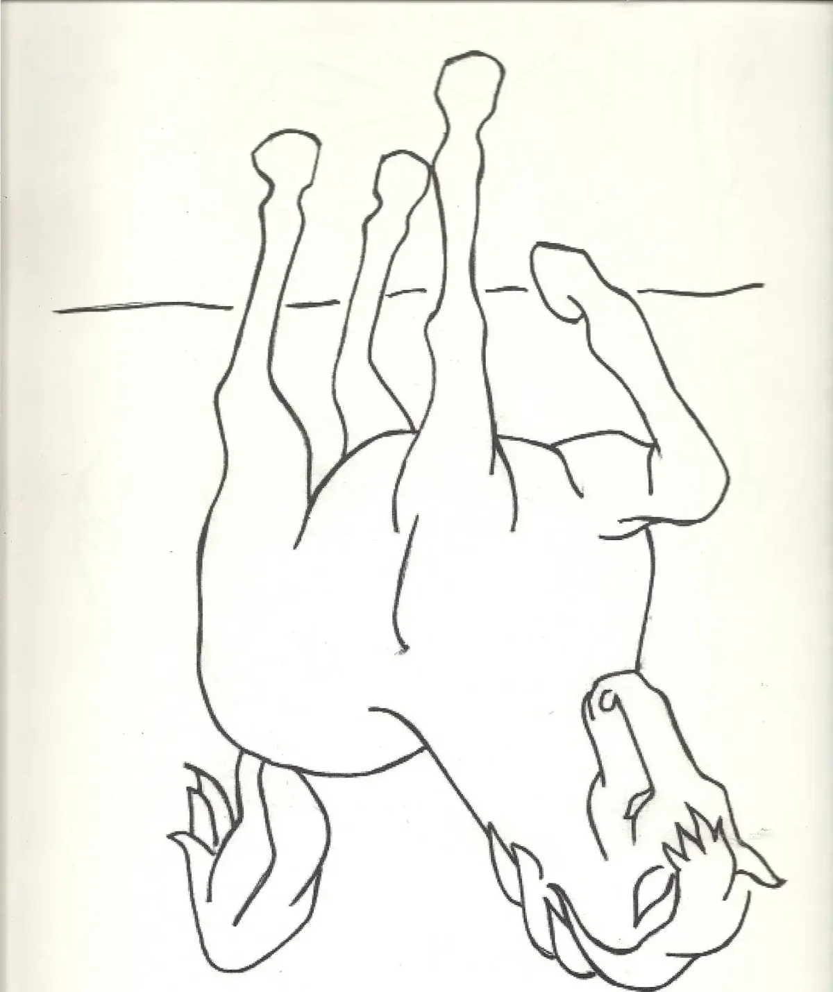 Иллюзии, связанные с когнитивными контурами