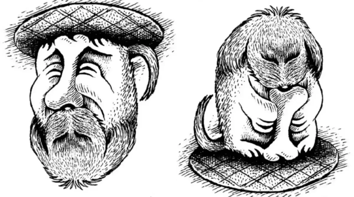 Принцесса старуха перевертыш