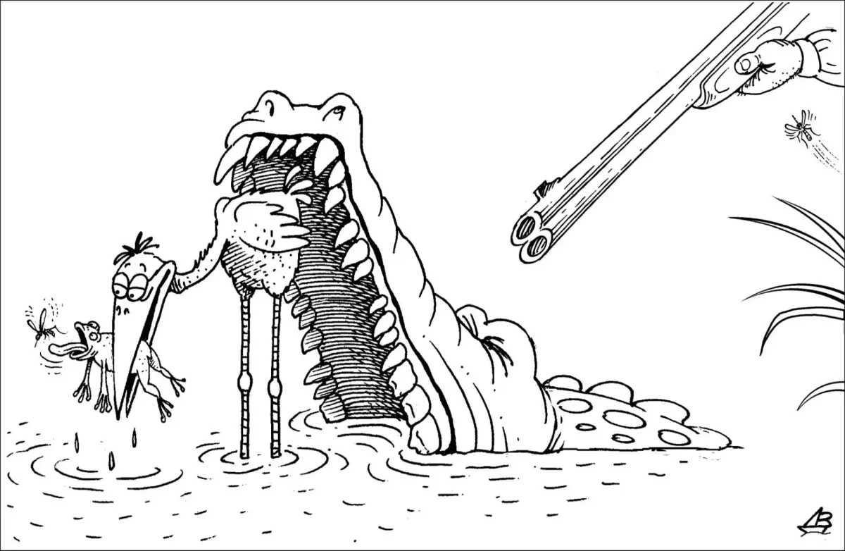 Попугай перевертыш