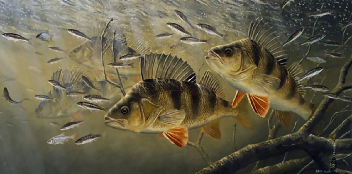 Экология иллюстрация