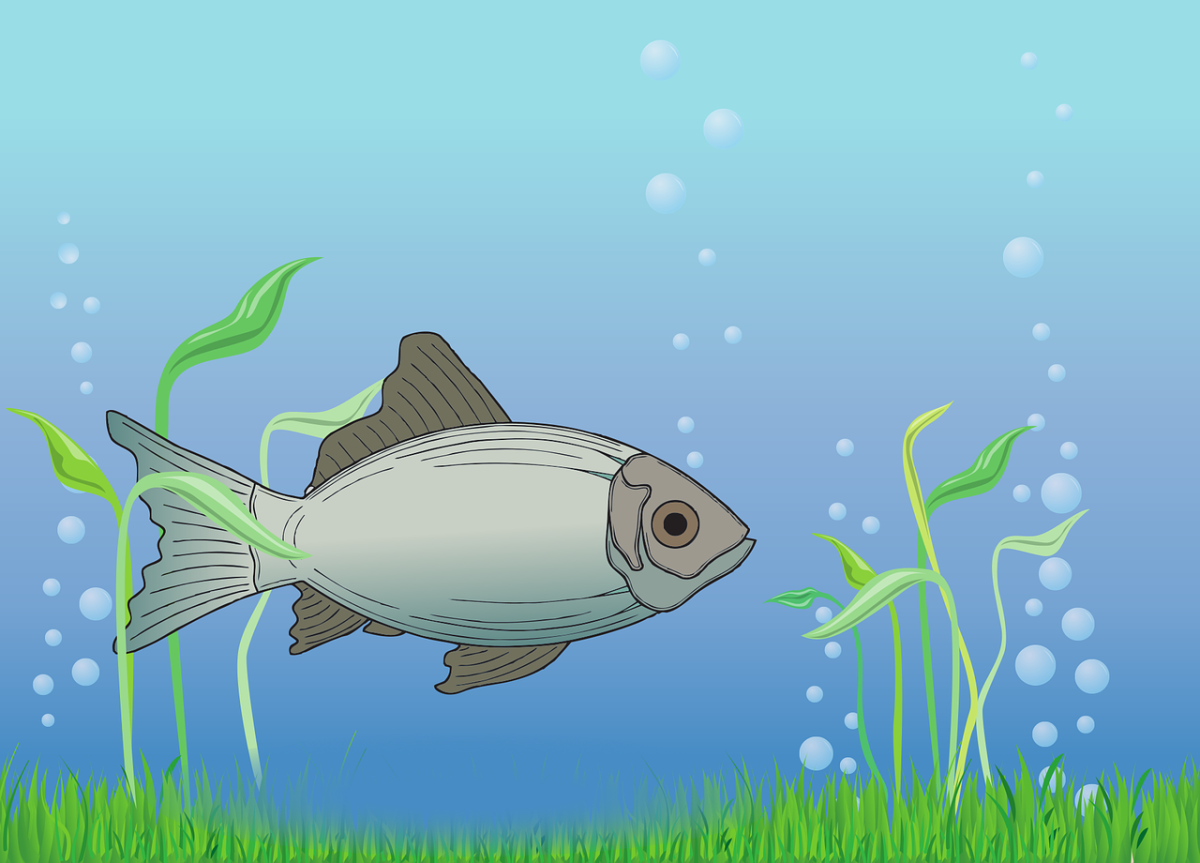 Китайская живопись у-син