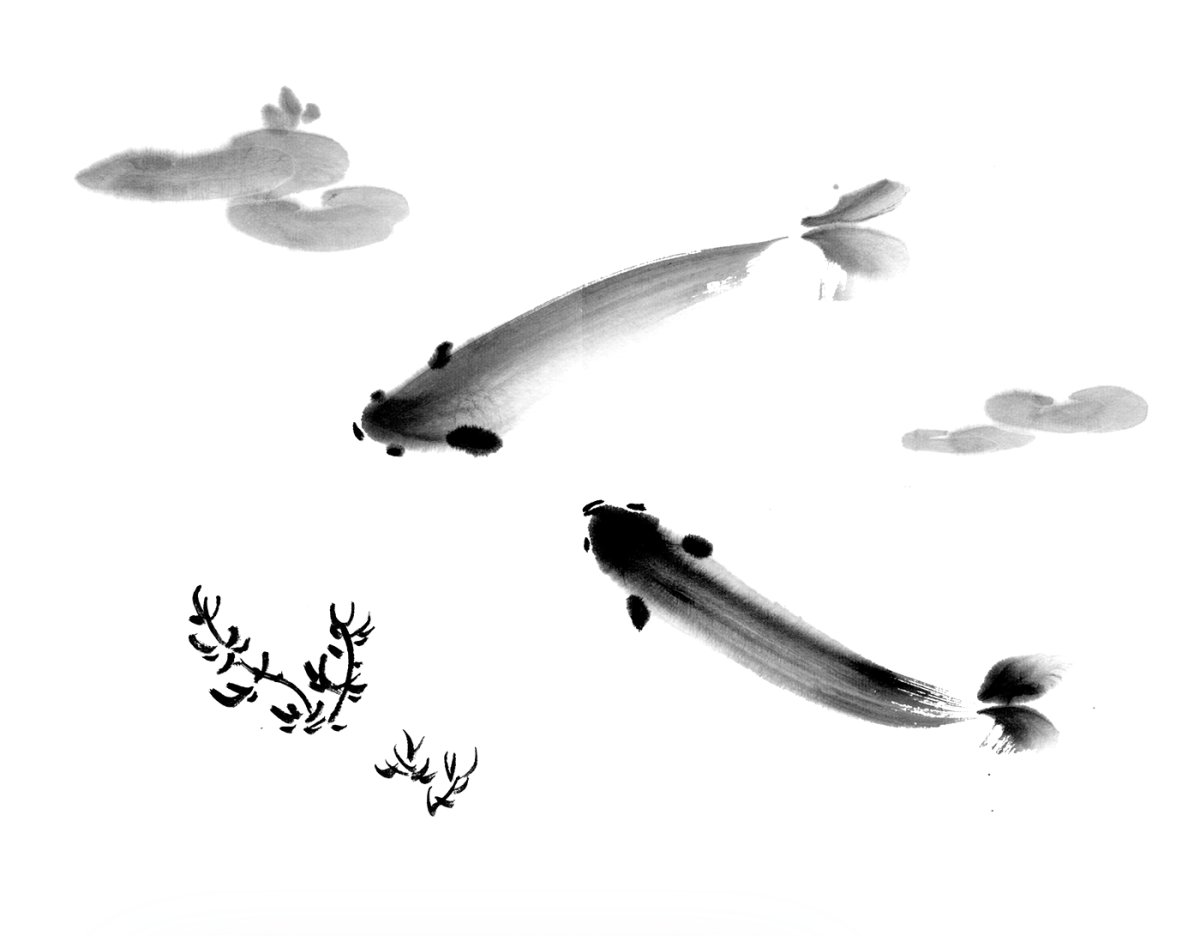 Виктория Кирдий лягушки