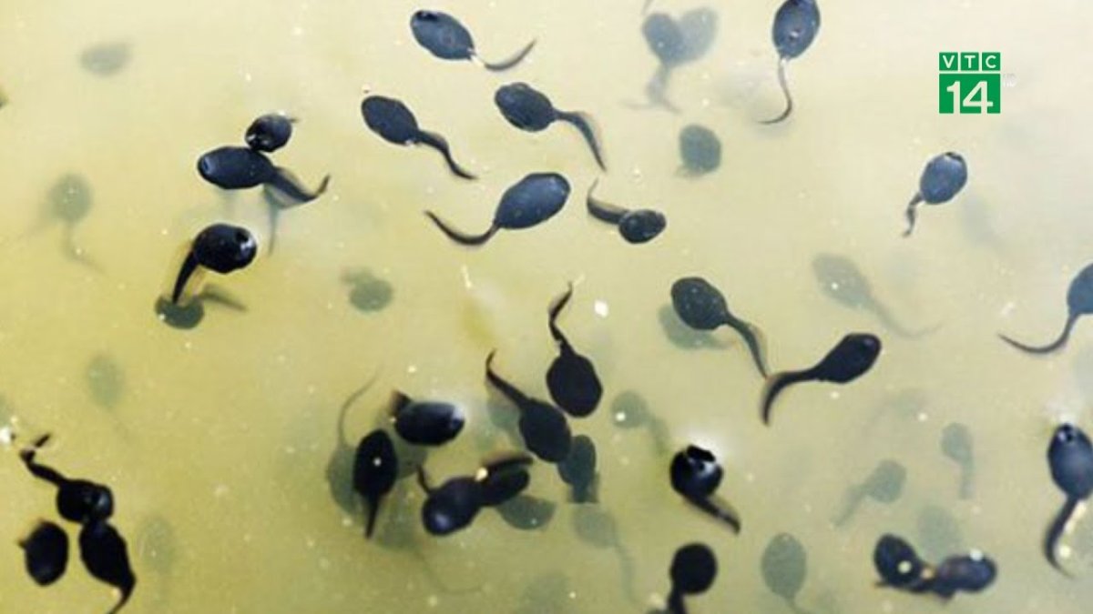 Белый экран