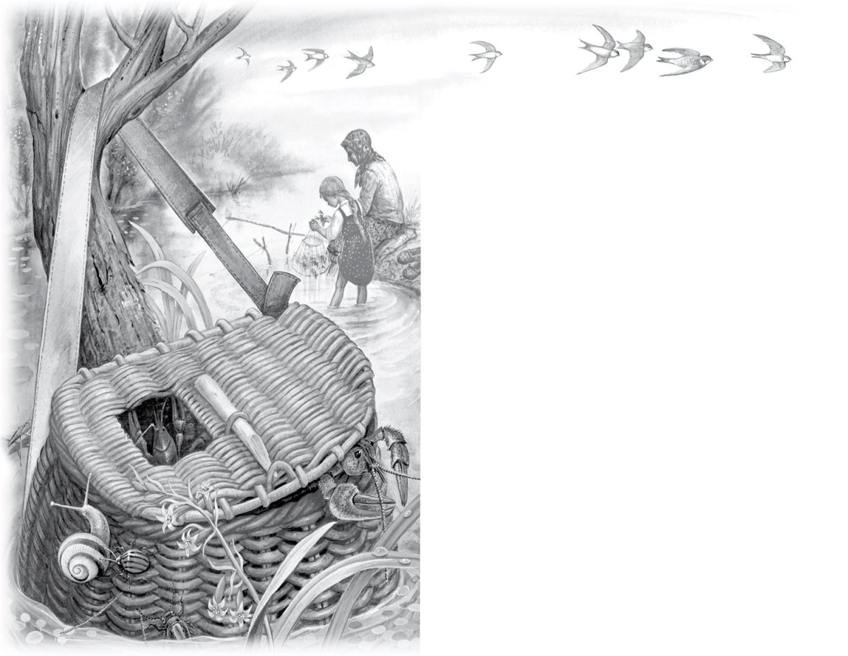 Бианки Лесные домишки раскраска