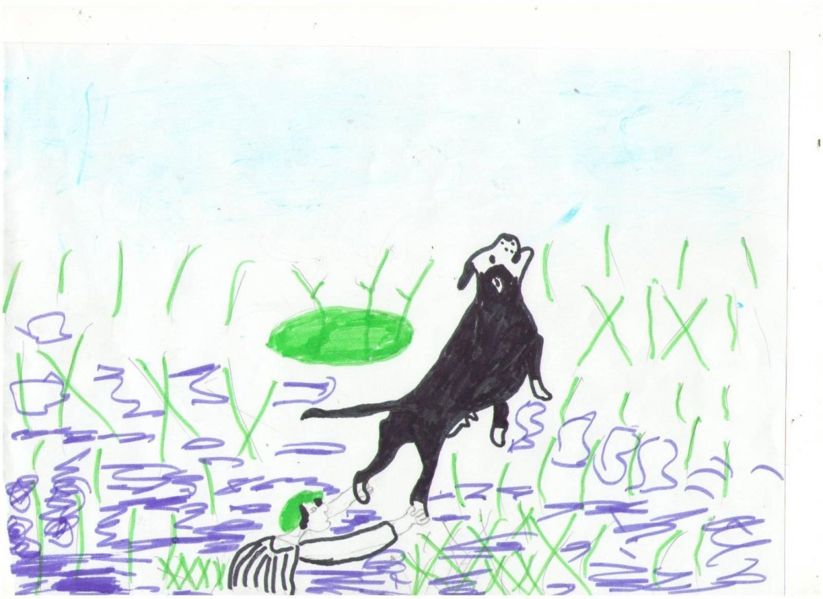 Пришвин хромка раскраска