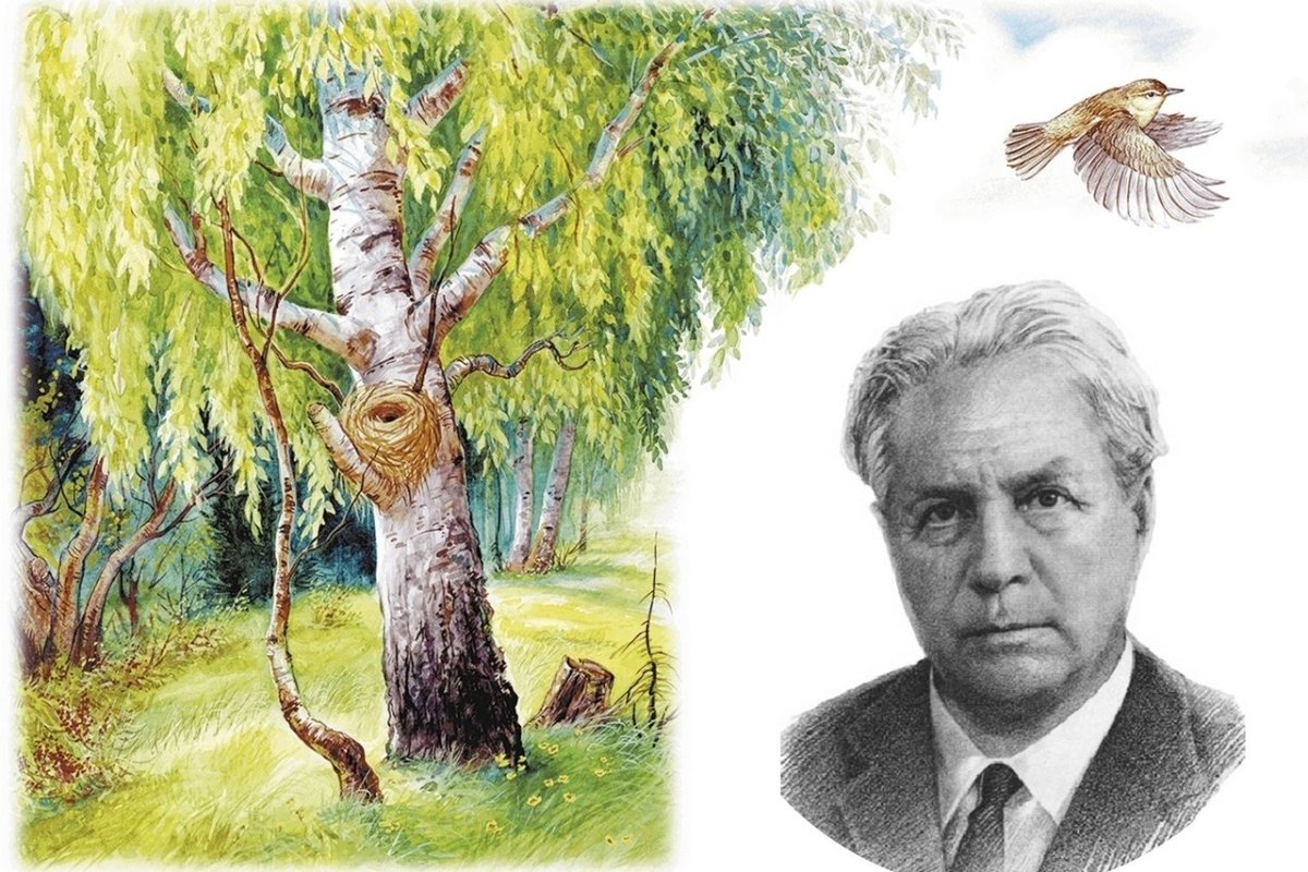 Раскраска пейзаж