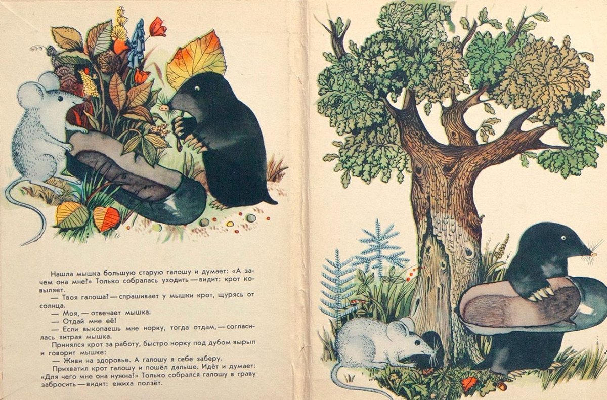 Михаил Пляцковский галоша