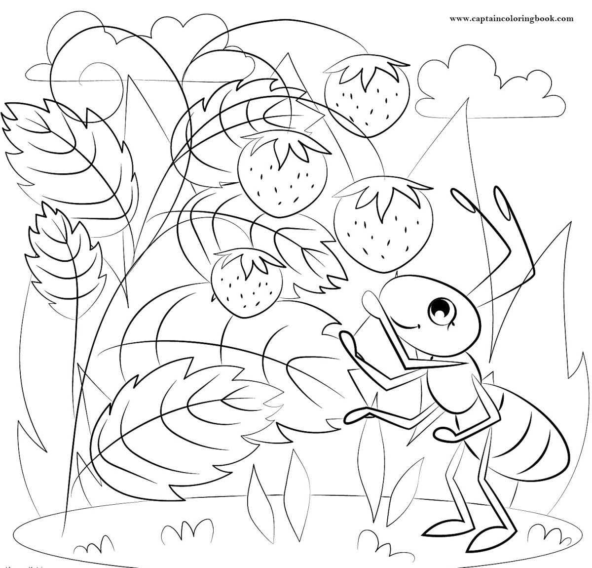 Муравей раскраска