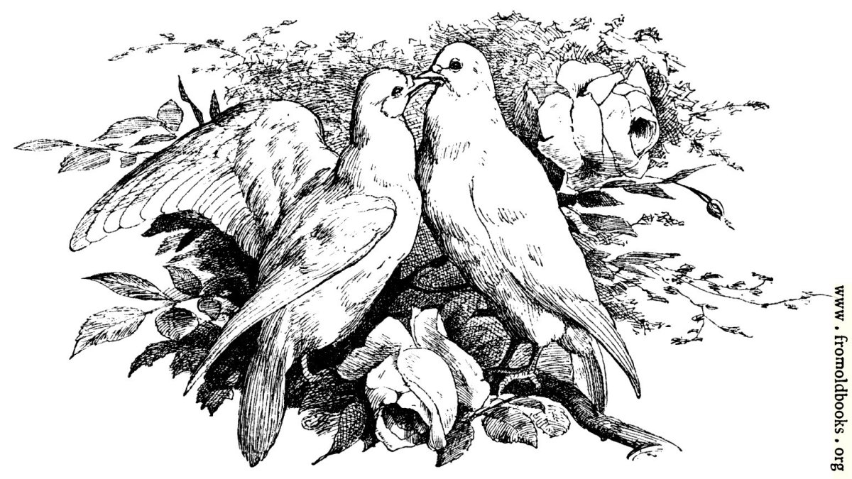 Два голубя Графика