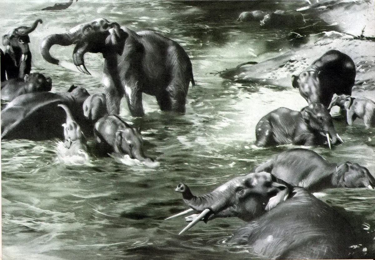 Художник Зденек Буриан картины