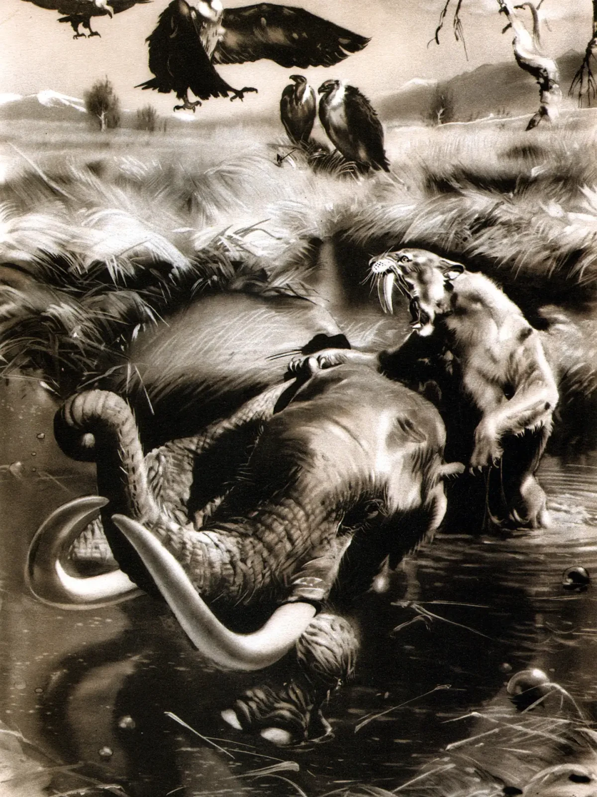 Художник Зденек Буриан