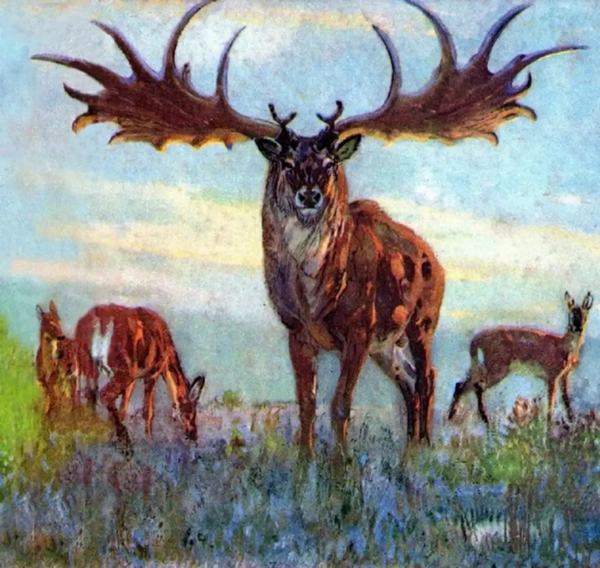 Зденек Буриан. Большерогий олень