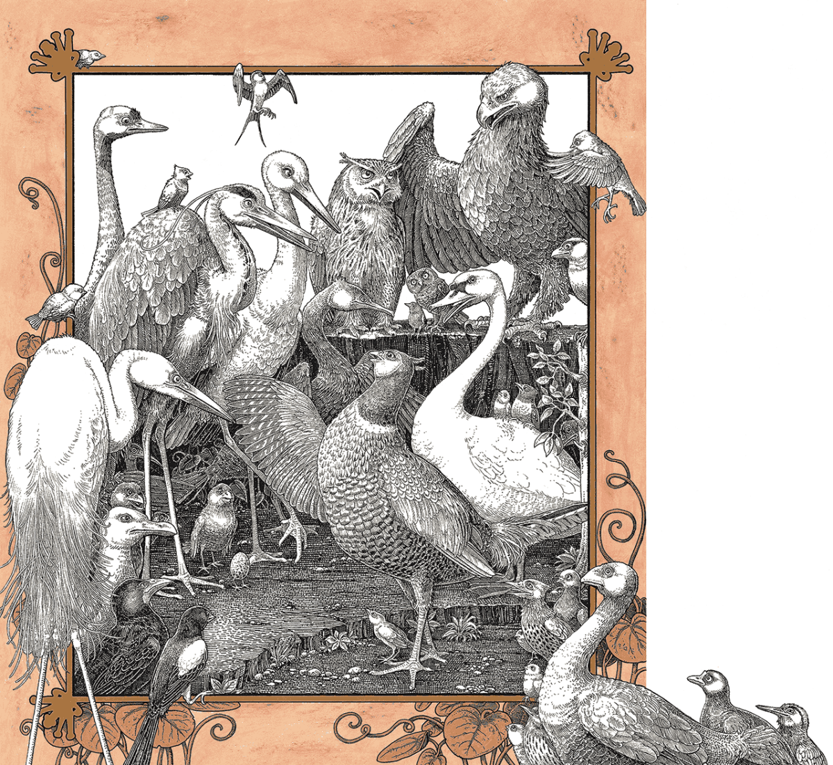 Томислав Томич раскраска