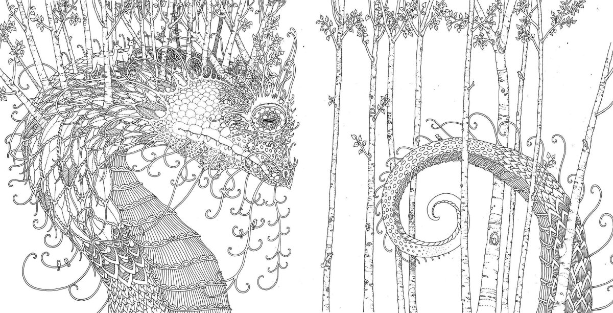 Раскраски для взрослых альбом