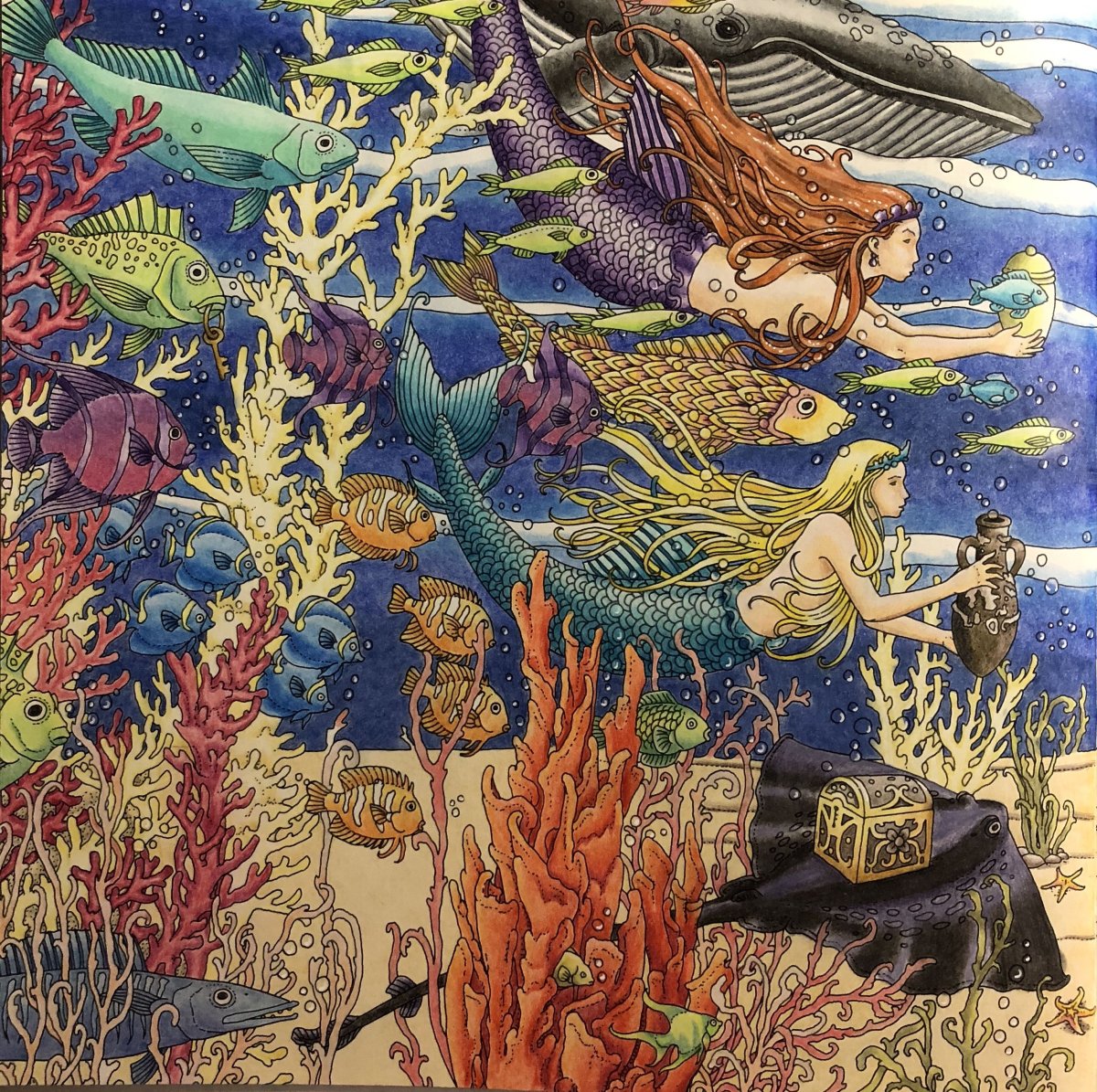 Томислав Томич иллюстрации