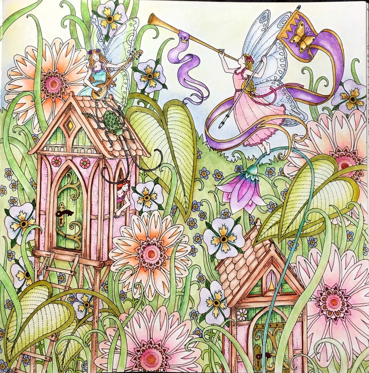 Томислав Томич раскраска zemlja snova