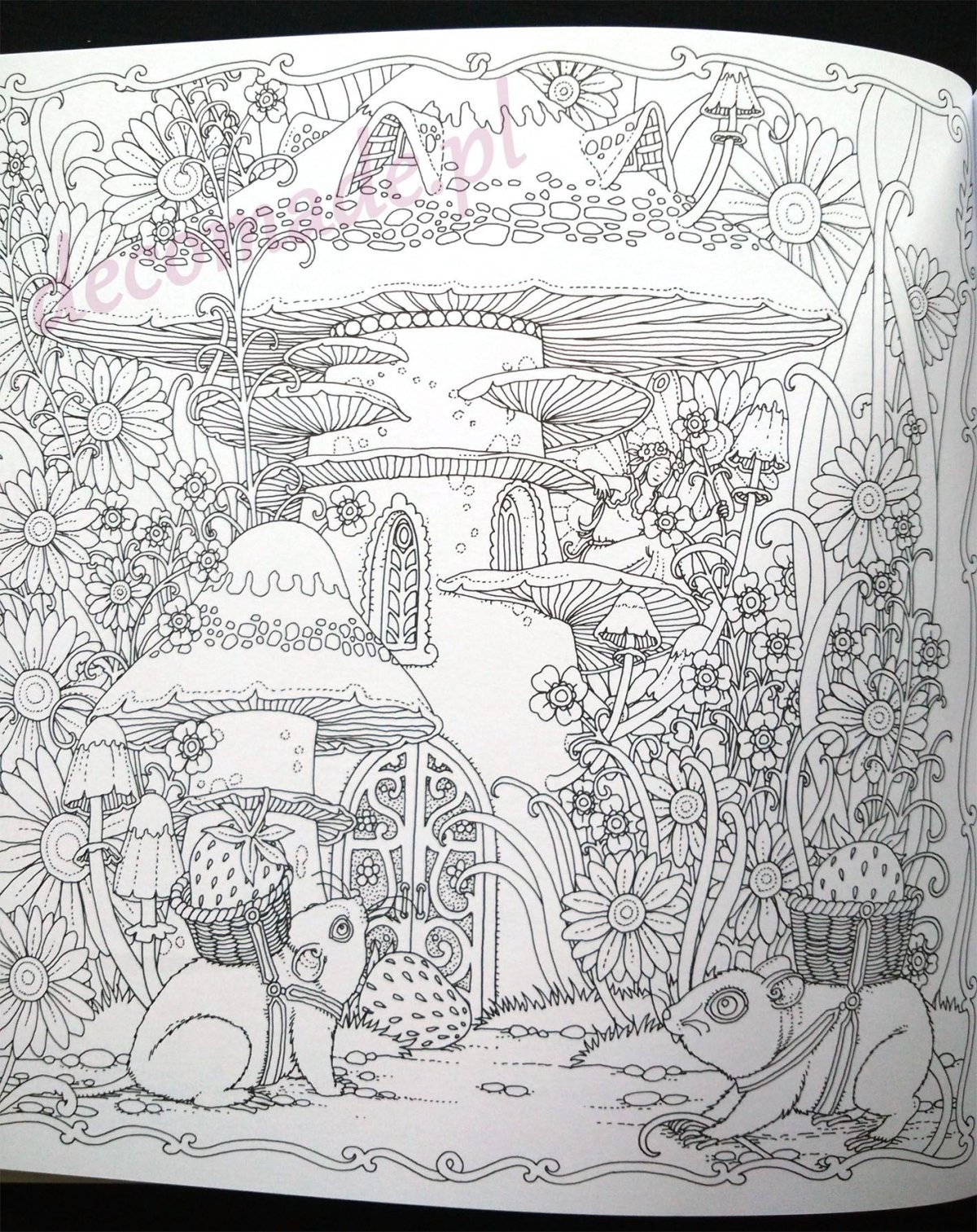 Томислав Томич земля снов