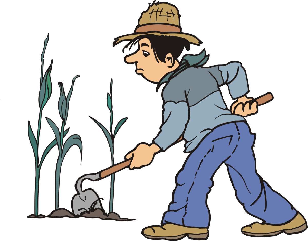 Чертополох раскраска