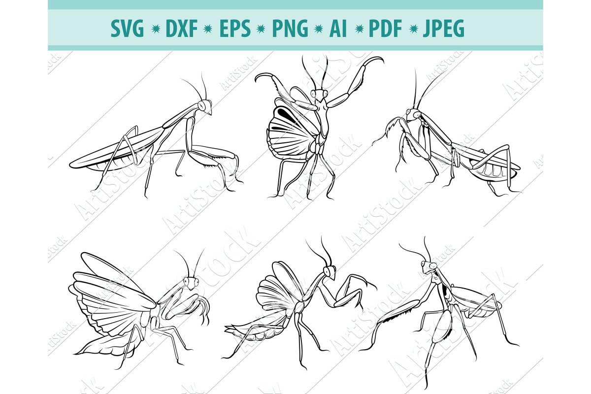 Скорпион раскраска