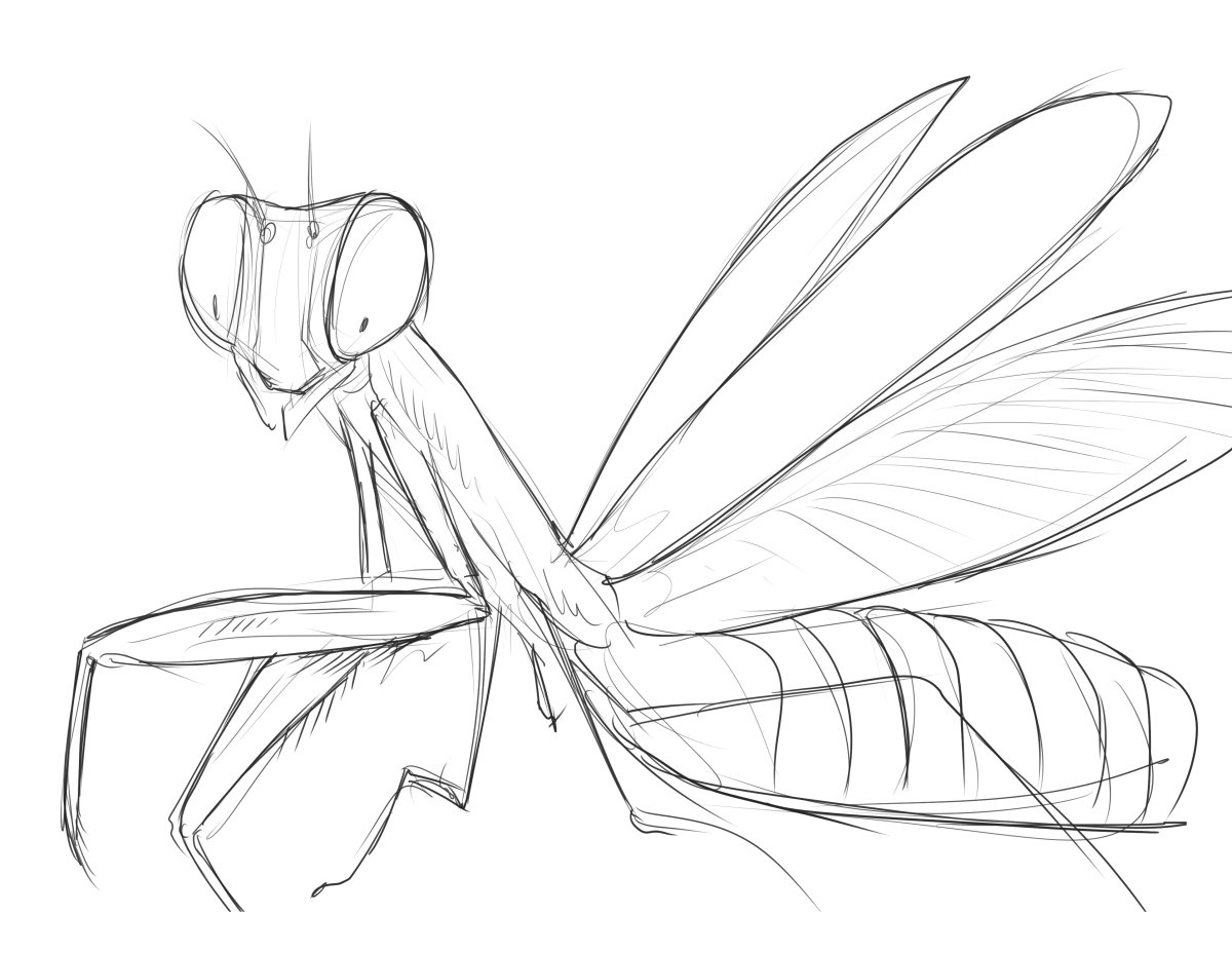 Раскраски антистресс насекомые