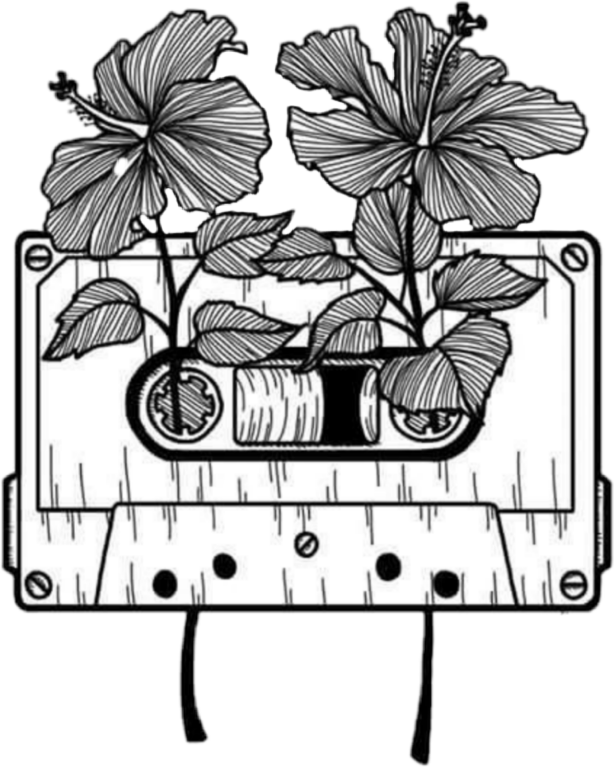 Рисунки в скетчбуке раскраска