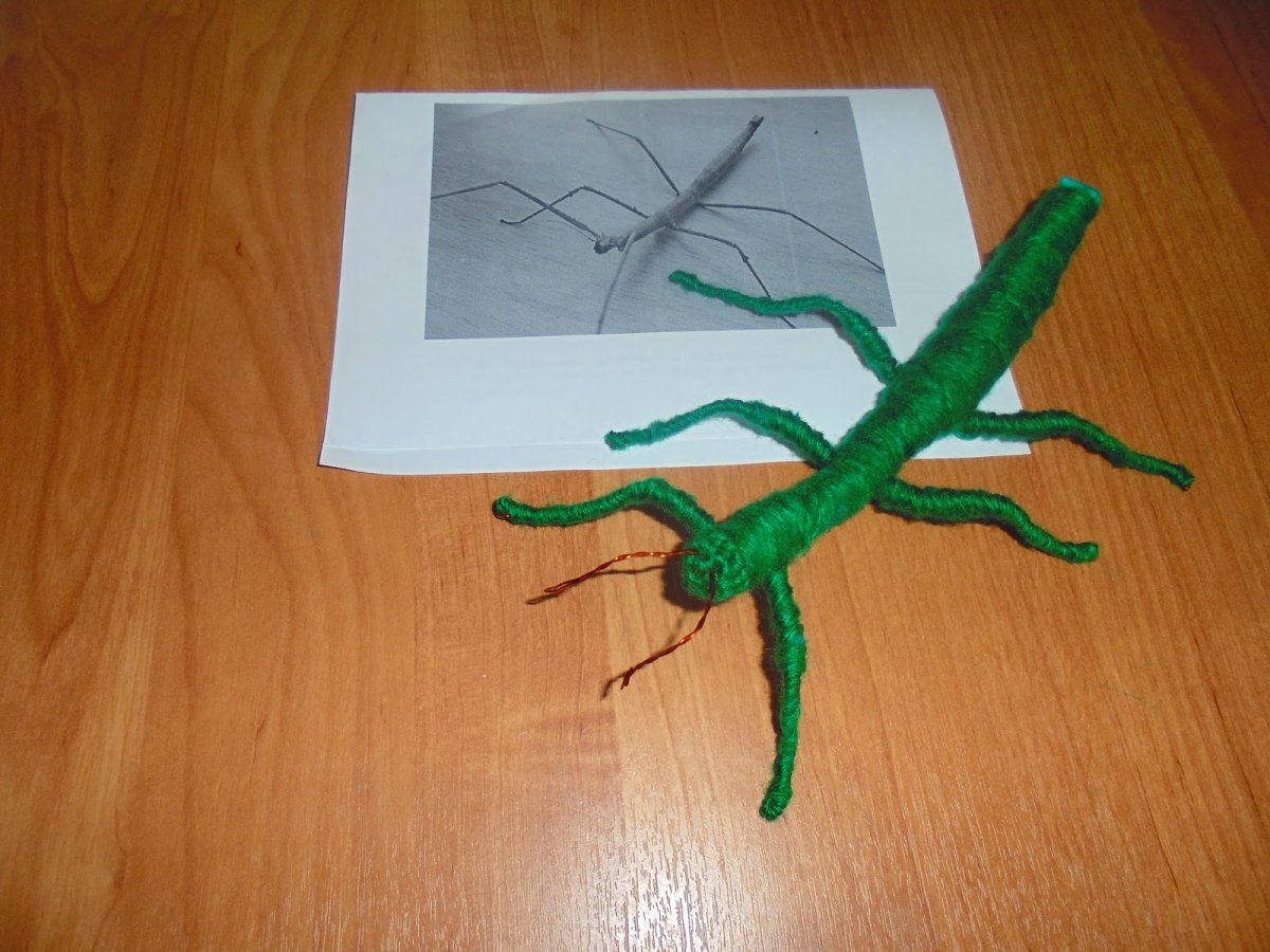 Лепим из пластилина палочников