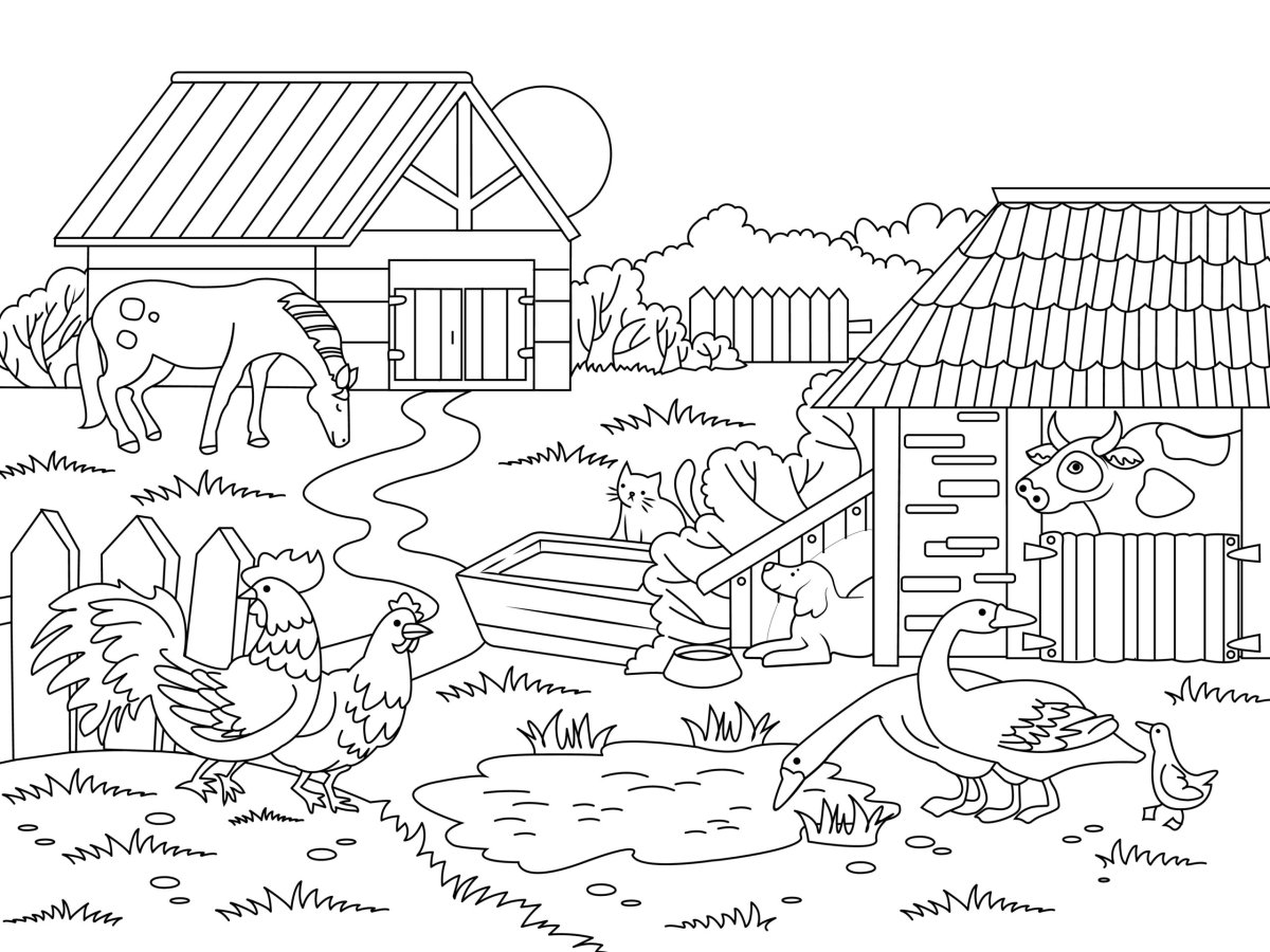 Книга виммельбух зоопарк