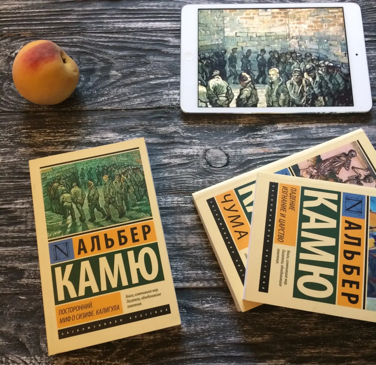Камю посторонний обложка