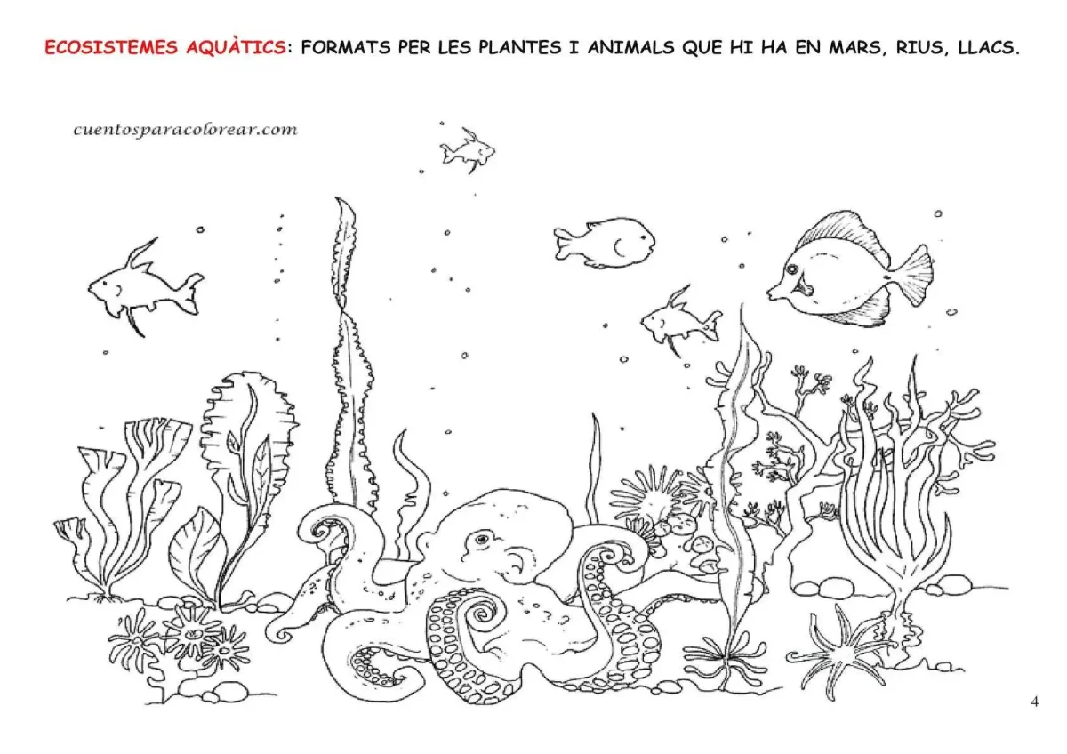 Подводный мир раскраска для детей