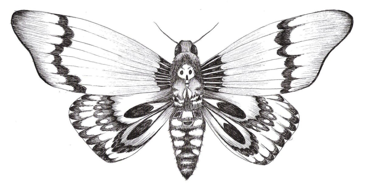 Рина Руж раскраска