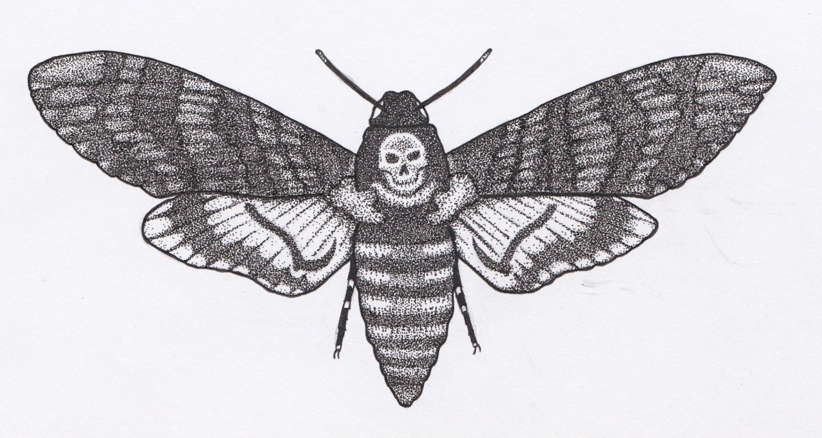 Раскраска КВАМИ из мультика леди баг