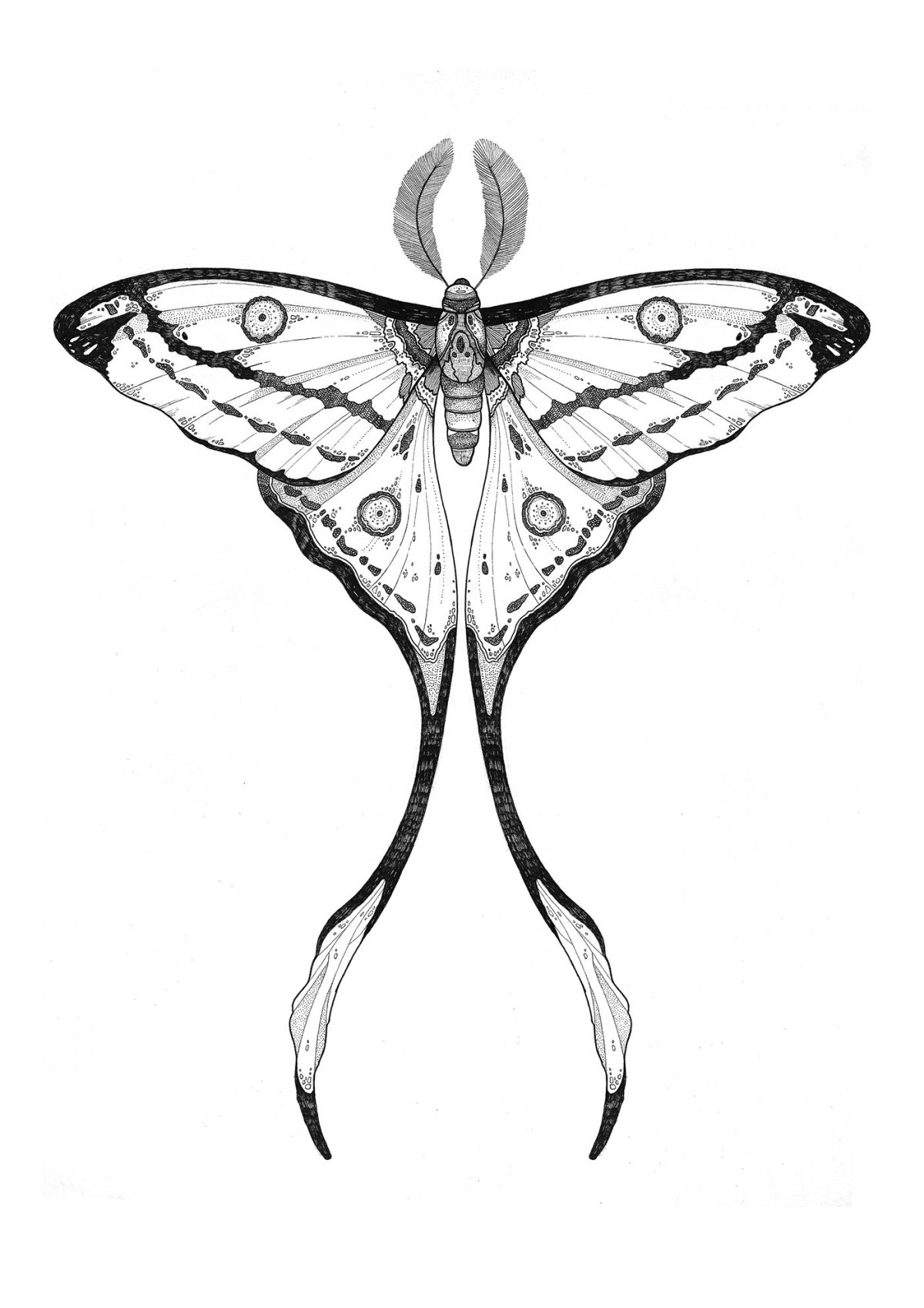 Леди баг КВАМИ Трикс