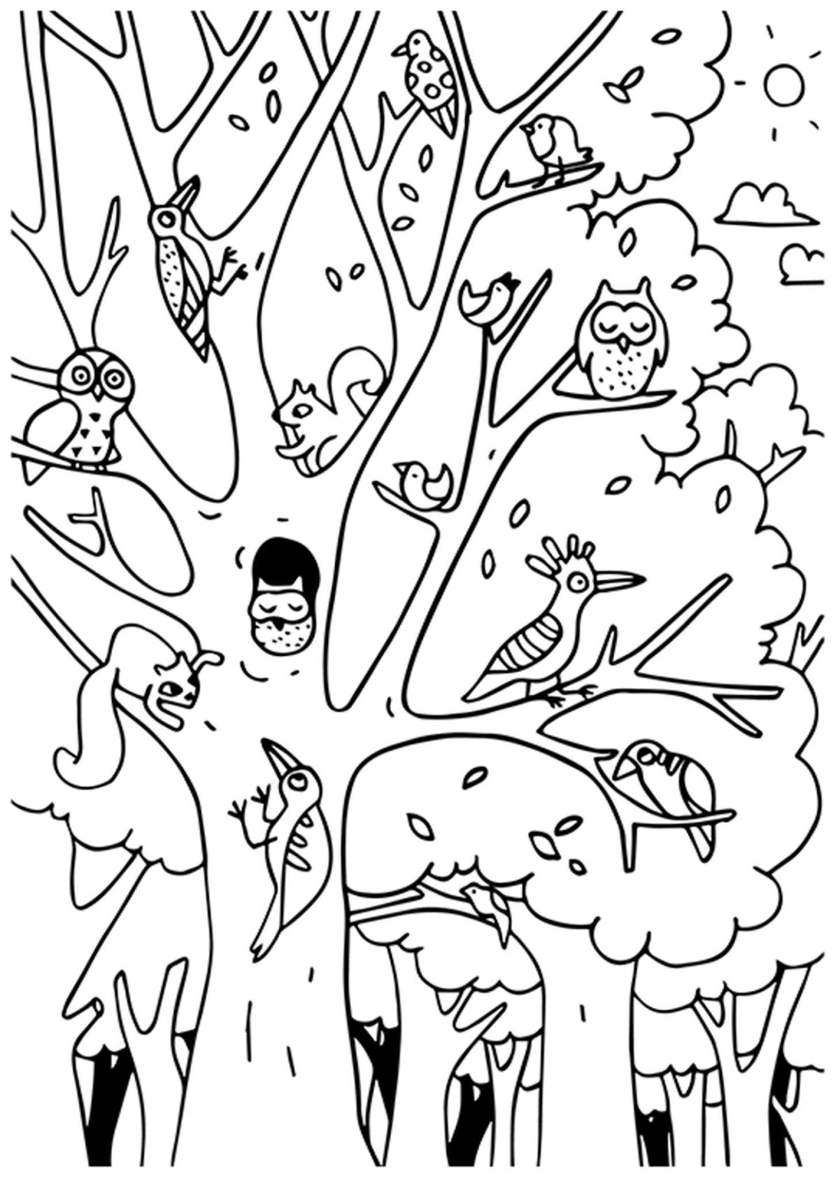 Найди и сосчитай