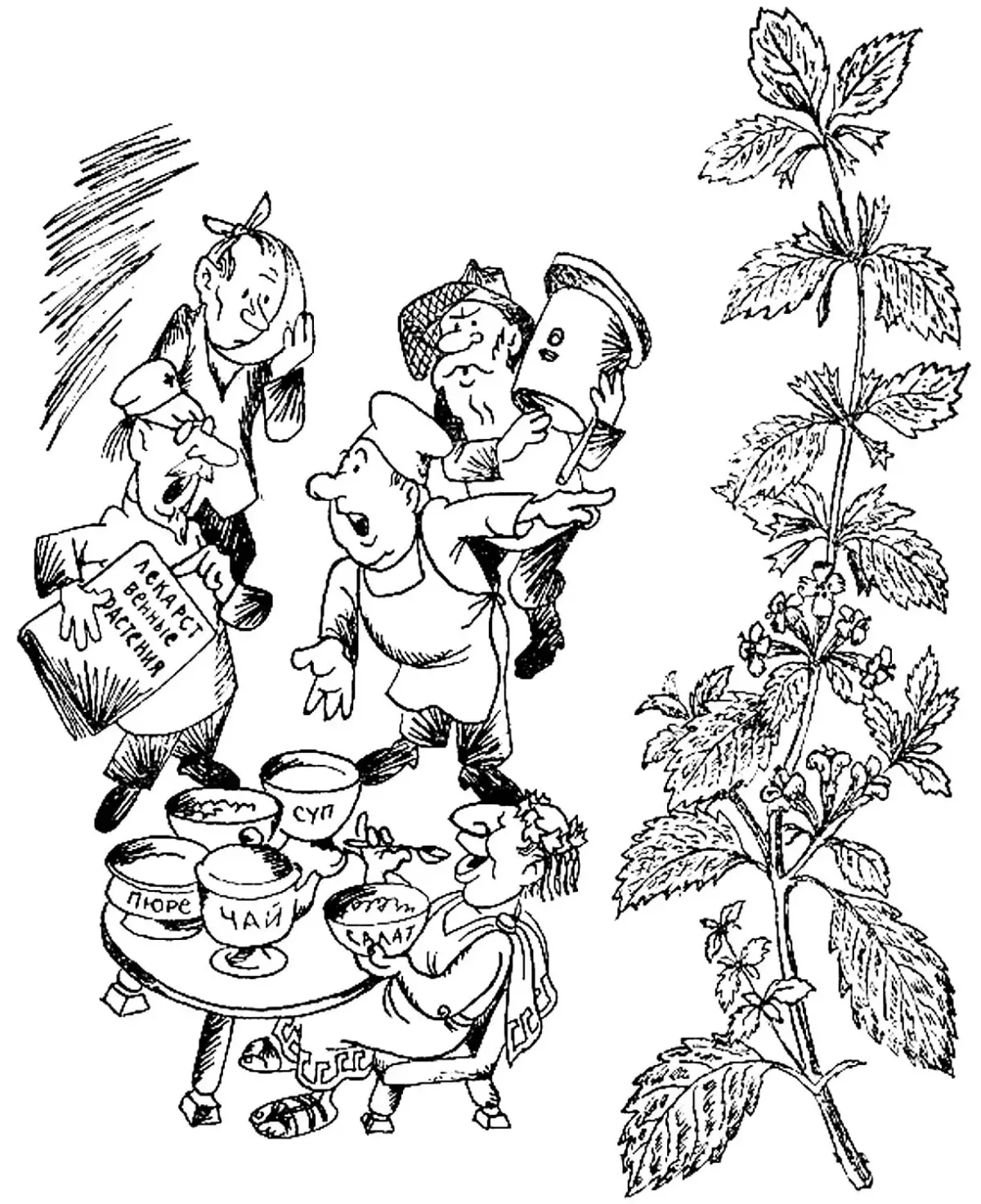 Лекарственные растения раскраска для детей