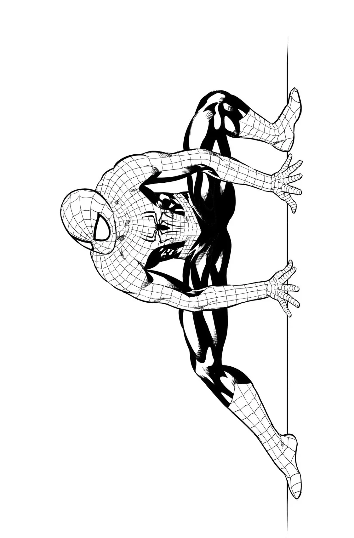 Раскраска человек паук Гвен Стейси