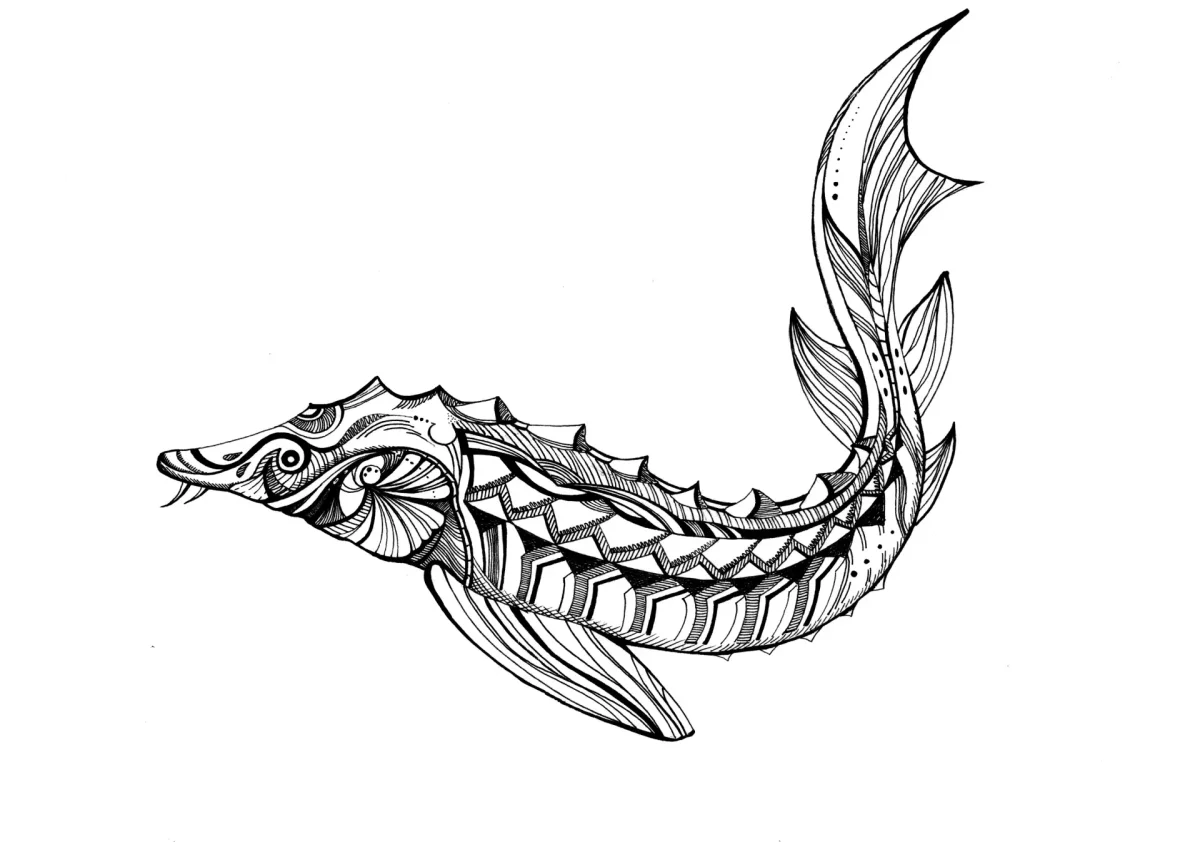 Стерлядь тату
