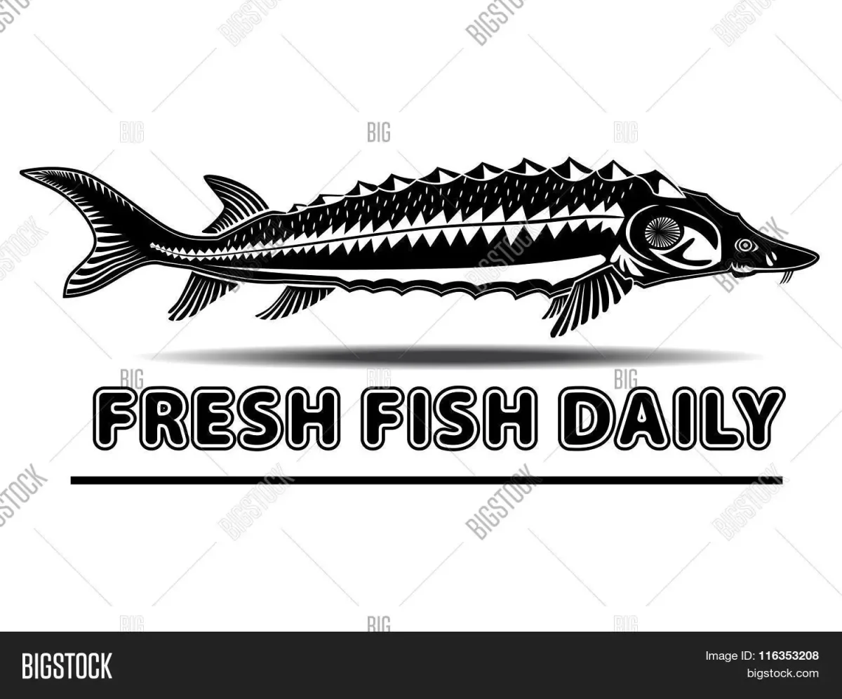 Осетр Графика