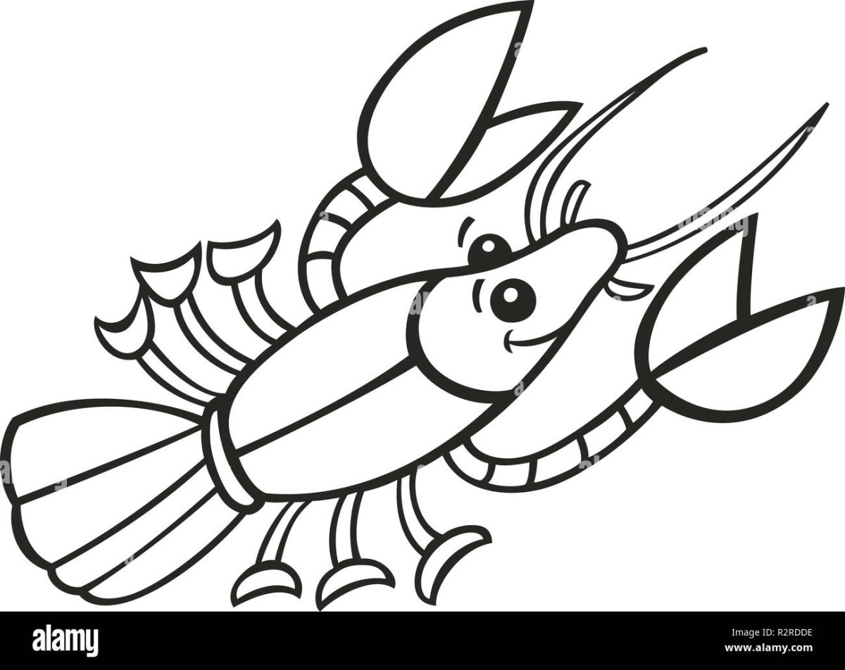 Тукан раскраска