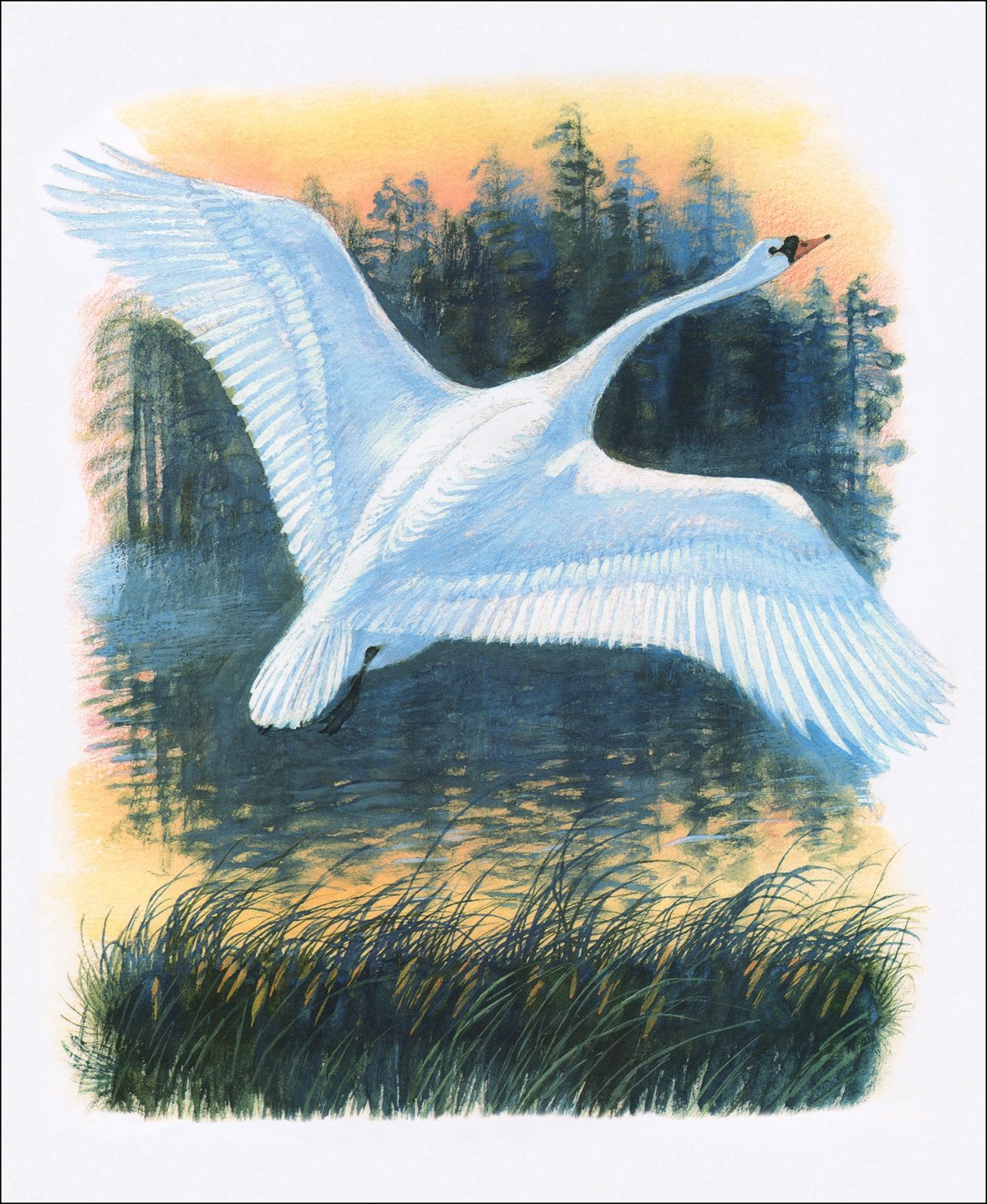 Стихотворение Лебедушка