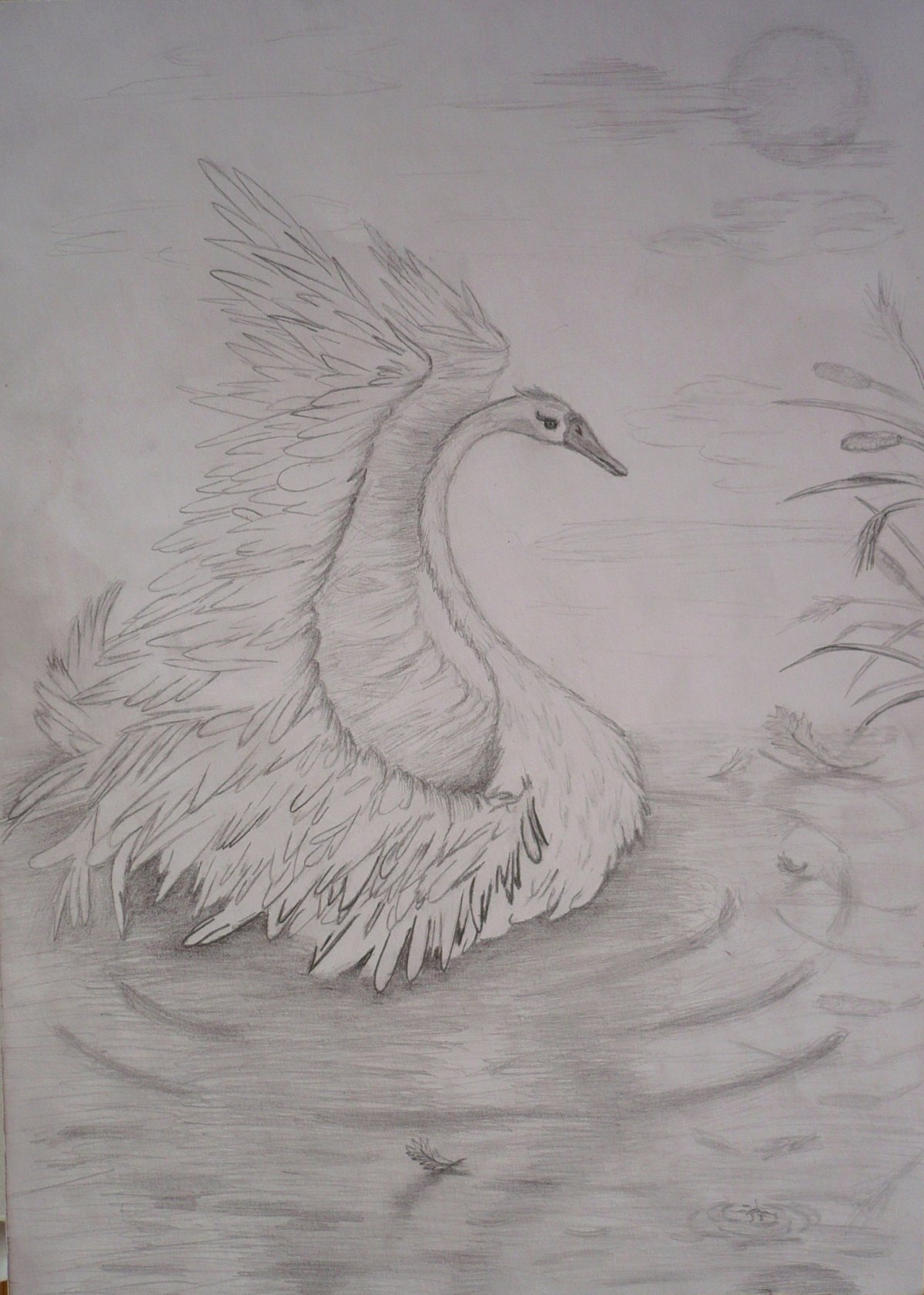 Лебедёнок с мамой