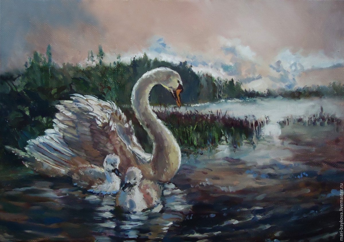 Лебедь шипун раскраска