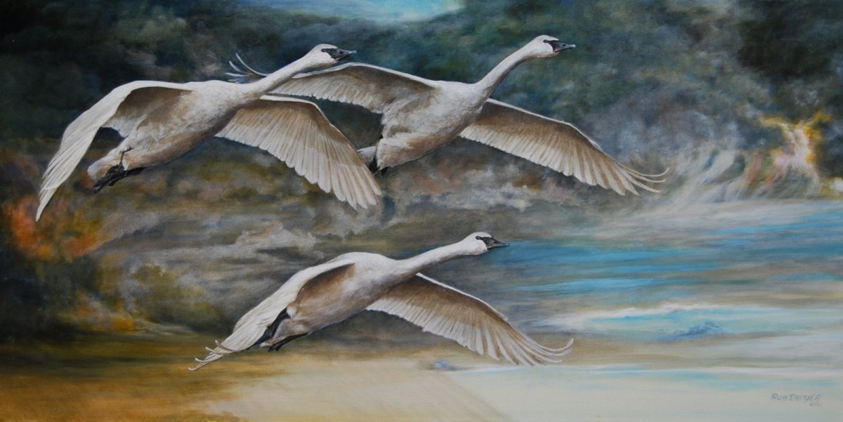 Лебедь детский рисунок