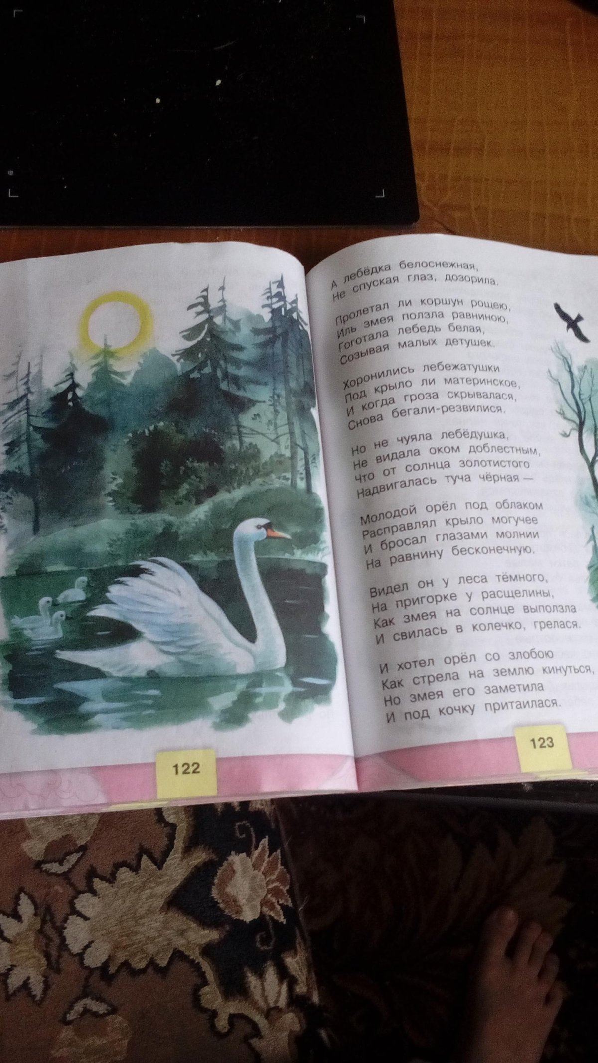 Шипун лебедь с потомством