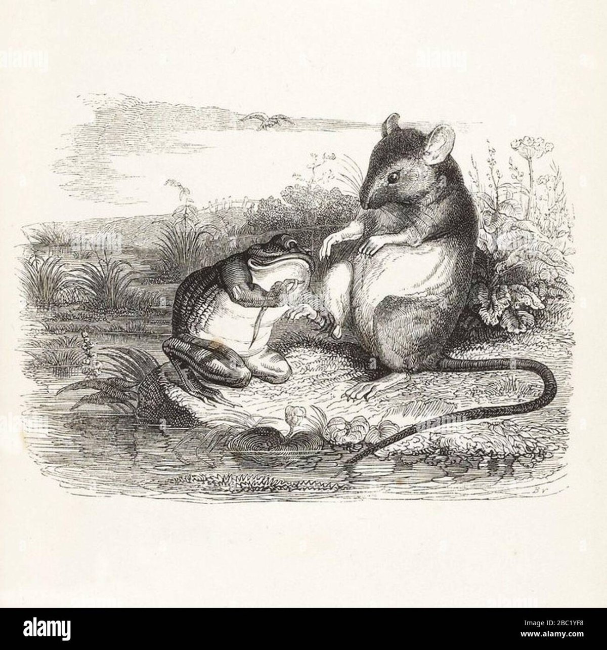 Каравай в сказке Царевна лягушка