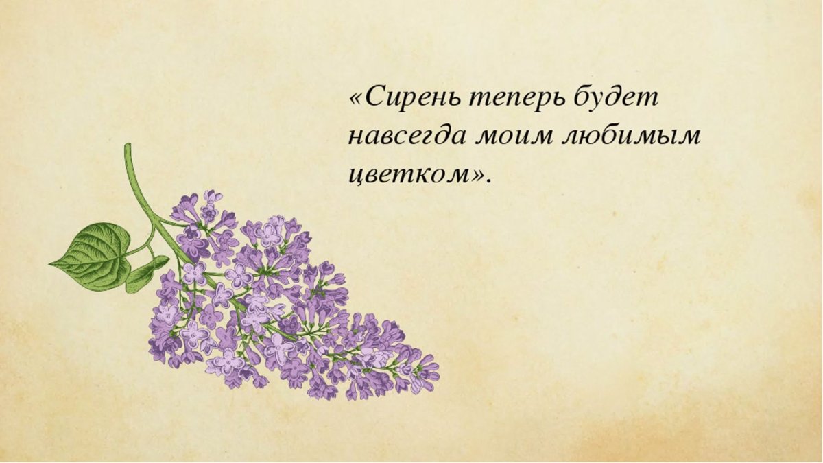 Куприн куст сирени иллюстрации к рассказу