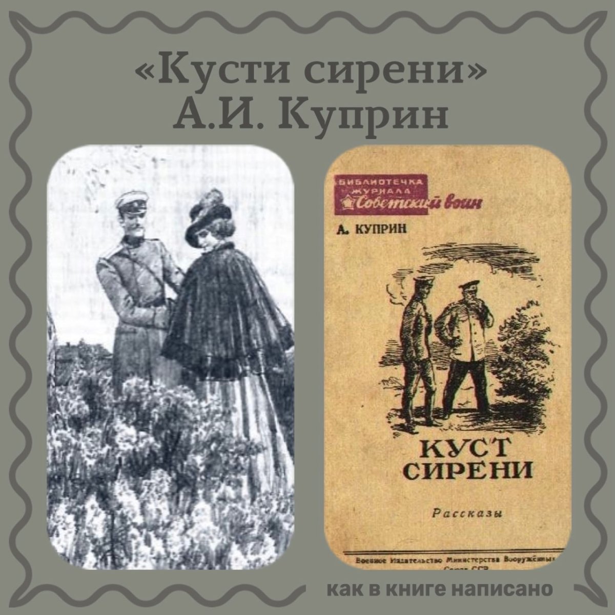 Николай Евграфович куст сирени