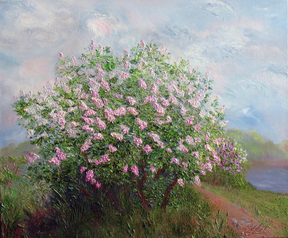 Шевченко Юрий Александрович